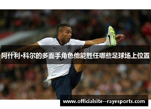 阿什利·科尔的多面手角色他能胜任哪些足球场上位置